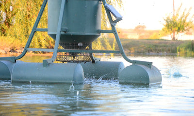 commercial fish feeder