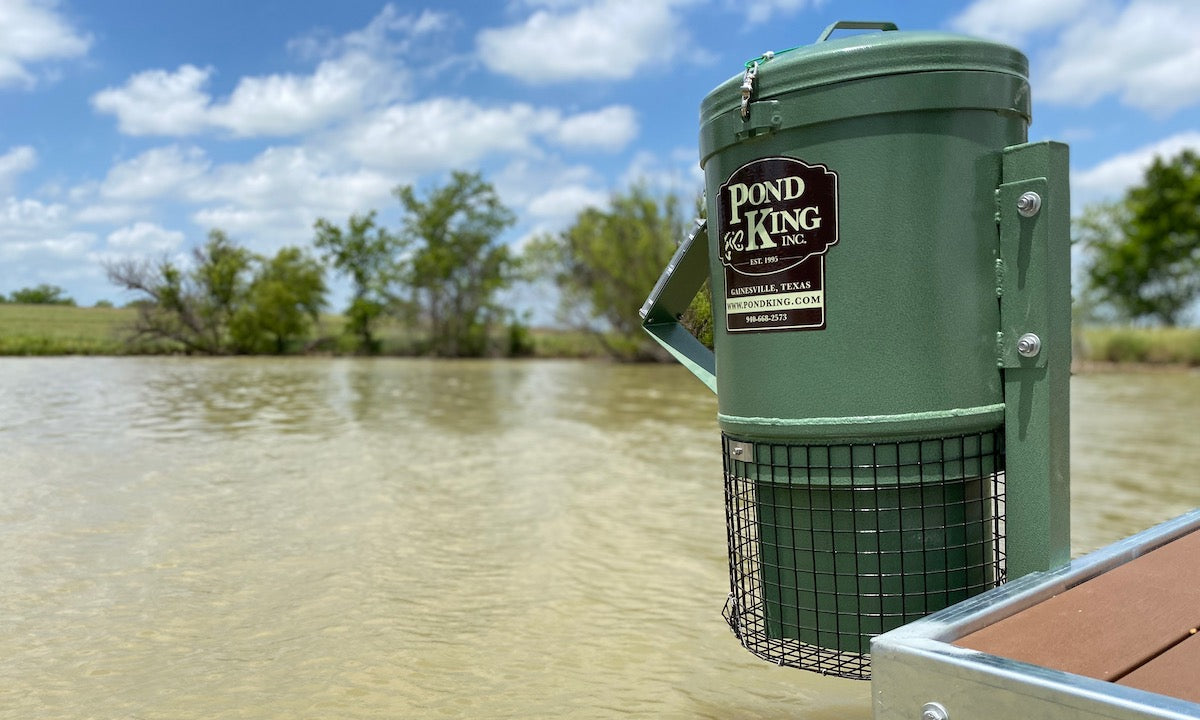 automatic fish feeder