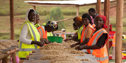 La Colombe Coffee Fair Trade Workers