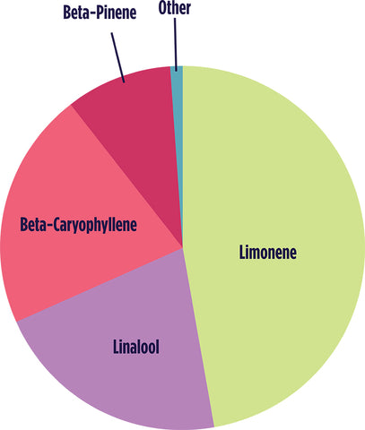 Daytrip Botanical Terpene Profile