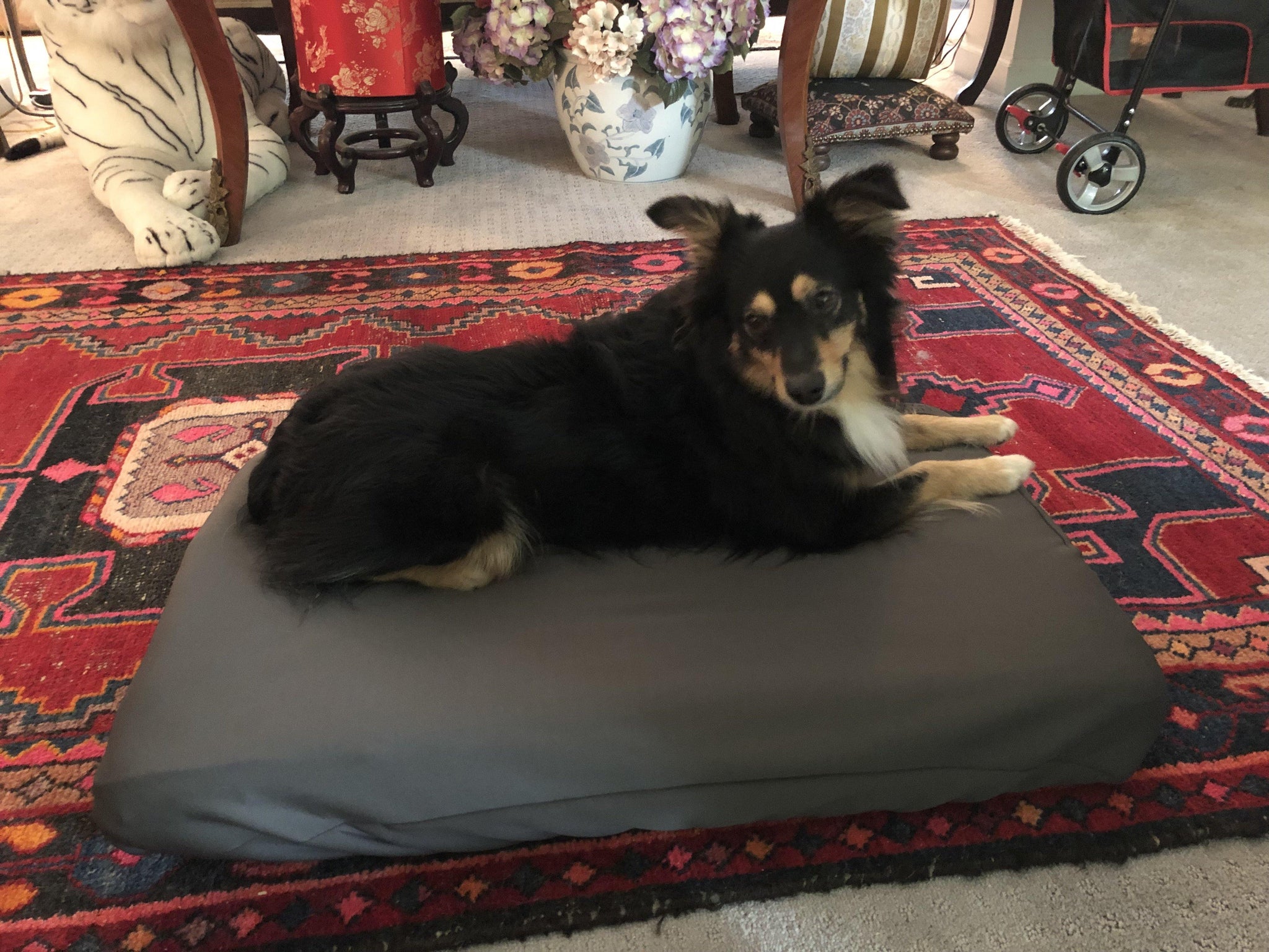 baavet dog bed