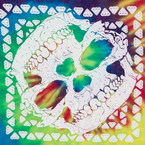 TENDERLOIN BANDANA SKULL LITMUS TYE DYEバンダナ