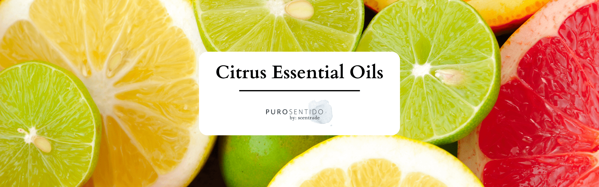 Learn all about citrus essential oils with Puro Sentido – PuroSentido By:  Scentrade - USA