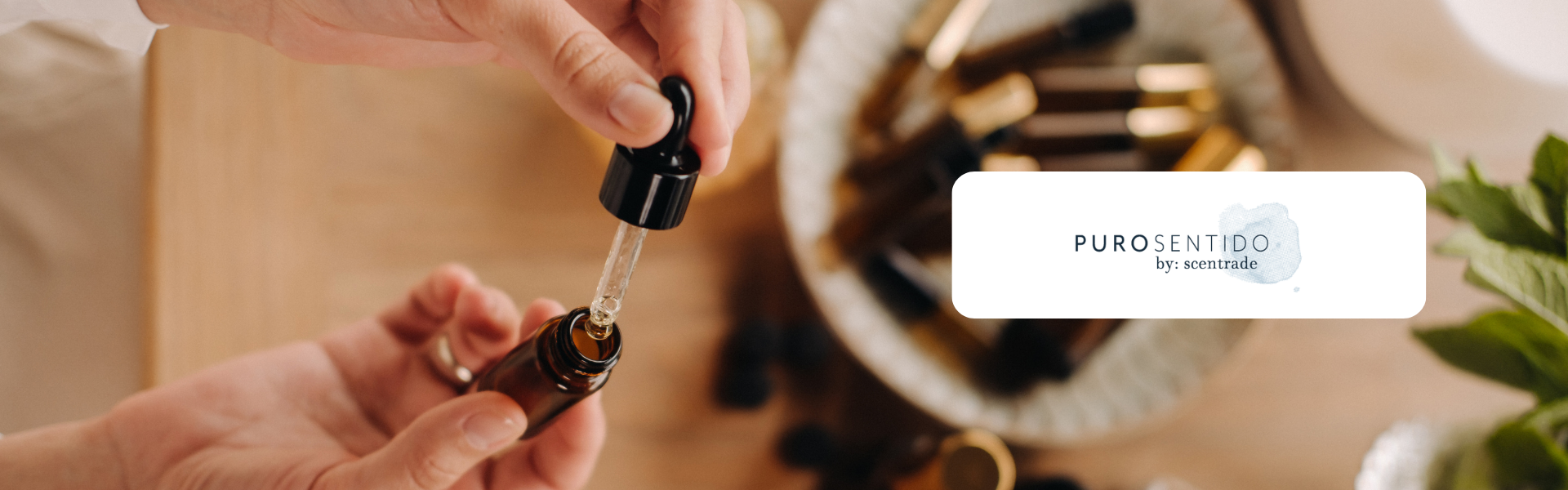 Organic Essential Oils, Everything You Need To Know - The Eco Hub