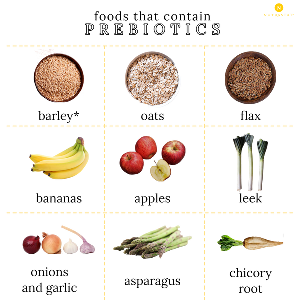 chart of foods that are prebiotics, barley, oats, flax, bananas, apples, leeks, banana, apple, leek, onion, onions, garlic, asparagus, chicory root