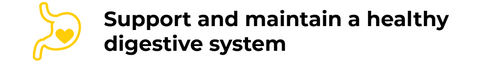 Fiber helps to support and maintain a healthy digestive system