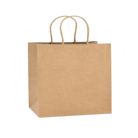 Paper Carry Bag