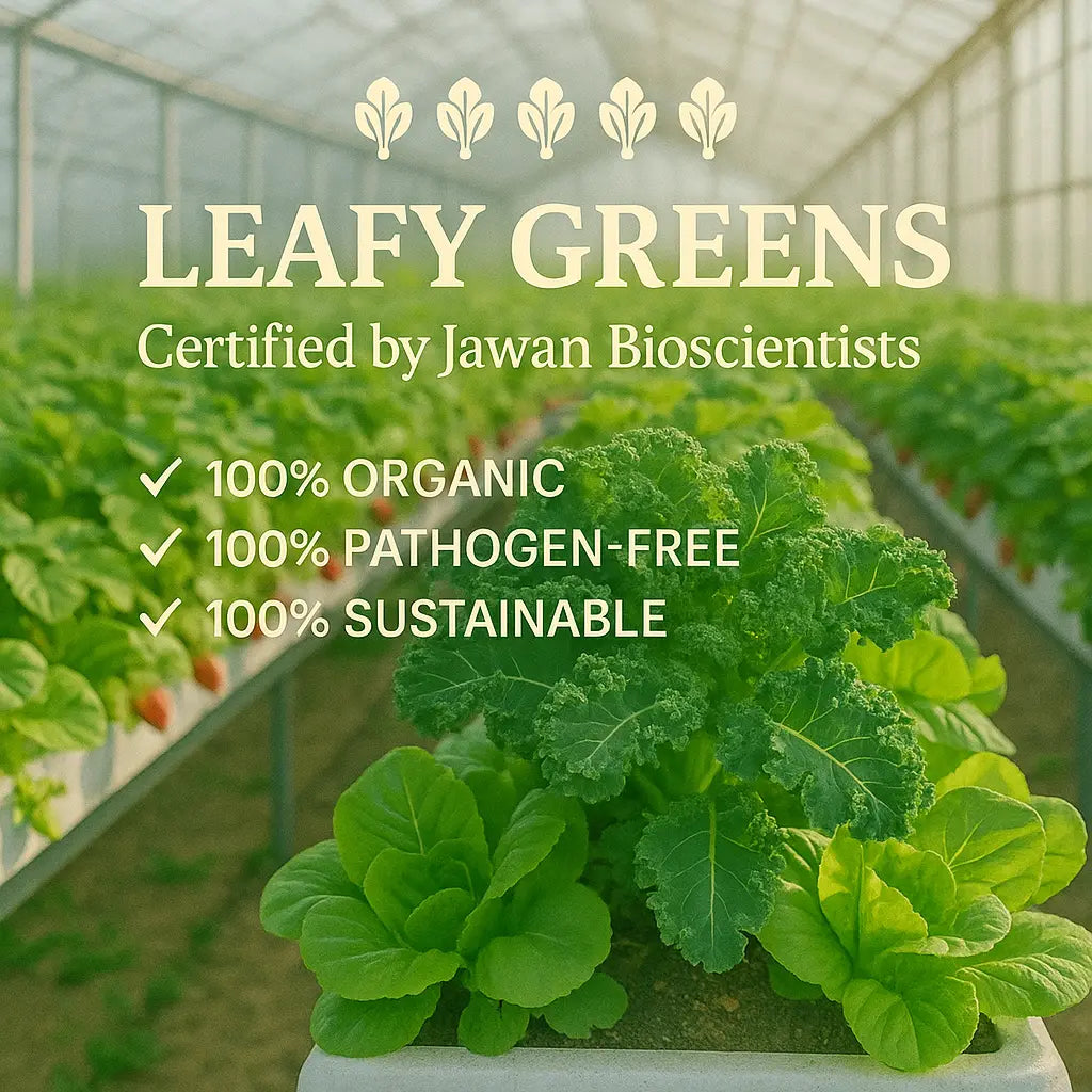 Sustainable Symbiosis in Practice *NATURALLY*