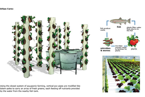 Small Commercial or Backyard-Aquaponic Warrior Vertical Kit