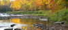 River with rocks near trees