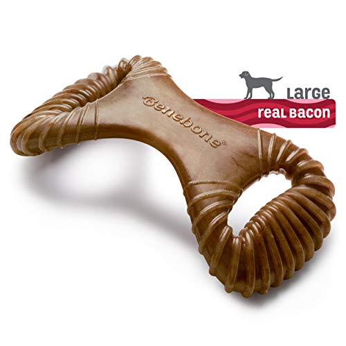 Dental Dog Chew Toy for Aggressive Chewers, Long Lasting, Medium, Real Bacon Flavor