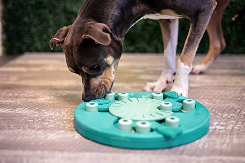 Outward Hound Dog Brick Interactive Treat Puzzle Dog Toy, Intermediate