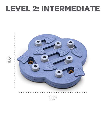 Outward Hound Dog Brick Interactive Treat Puzzle Dog Toy, Intermediate