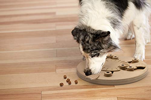 Outward Hound Dog Brick Interactive Treat Puzzle Dog Toy, Intermediate