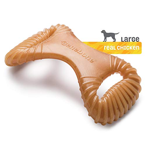 Dental Dog Chew Toy for Aggressive Chewers, Long Lasting, Medium, Real Bacon Flavor