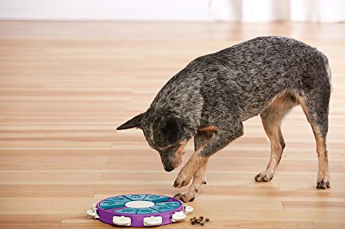 Outward Hound Dog Brick Interactive Treat Puzzle Dog Toy, Intermediate