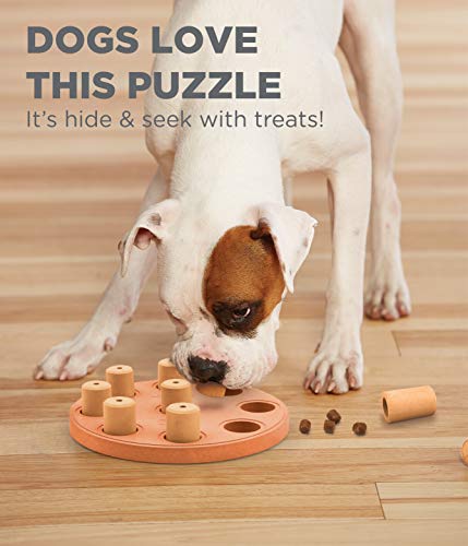 Outward Hound Dog Brick Interactive Treat Puzzle Dog Toy, Intermediate