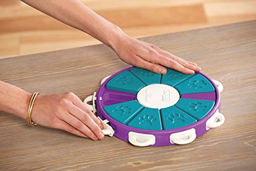 Outward Hound Dog Brick Interactive Treat Puzzle Dog Toy, Intermediate