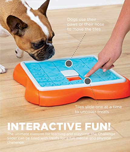 Outward Hound Dog Brick Interactive Treat Puzzle Dog Toy, Intermediate