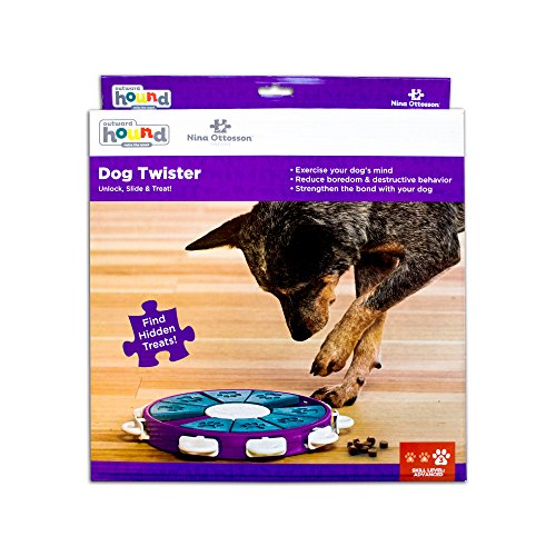 Outward Hound Dog Brick Interactive Treat Puzzle Dog Toy, Intermediate