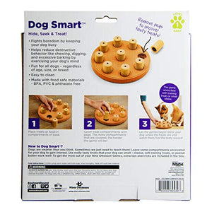 Outward Hound Dog Brick Interactive Treat Puzzle Dog Toy, Intermediate