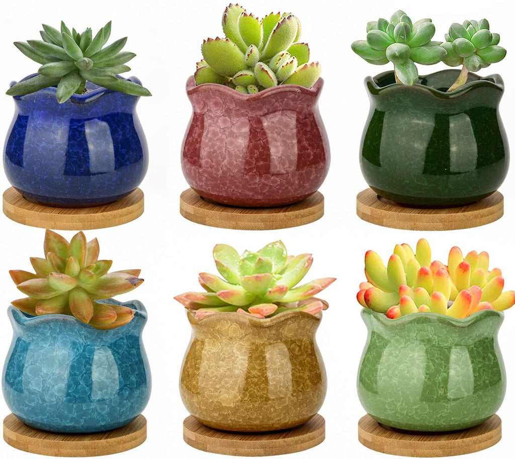 ZOUTOG Succulent Pots, 4 inch Ceramic Ice Crack Flower Planters, Colorful Pot with Bamboo Trays, Pack of 6 (Plants Not Included)