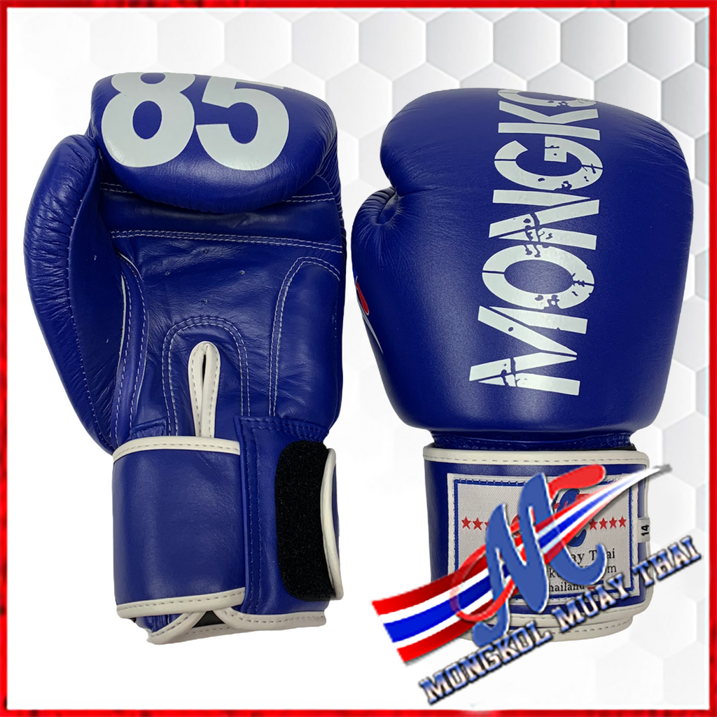 royal blue boxing gloves