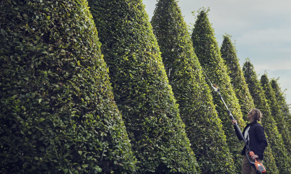 How to Choose the Best Hedge Trimmer