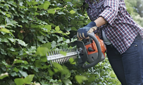 Best Hedge Trimmers UK