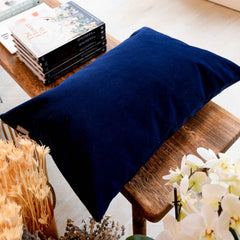 blue velour cushion Hubsch