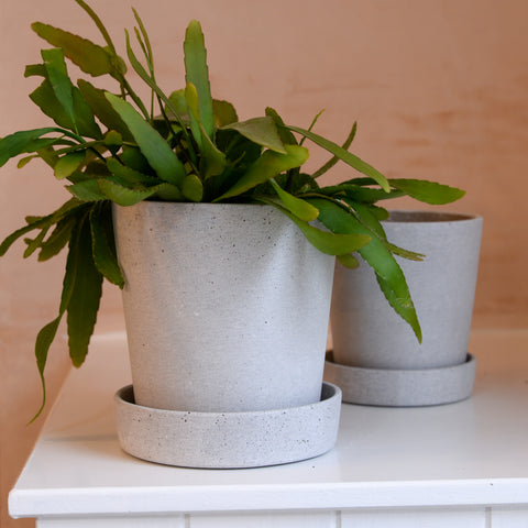 concrete pots grey stoneware Hubsch plant pot planters Mon Pote
