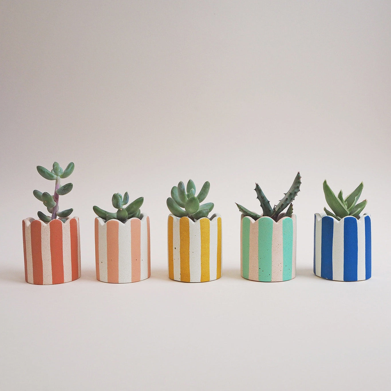 Mini Scalloped Stripy Pot / Various Colours