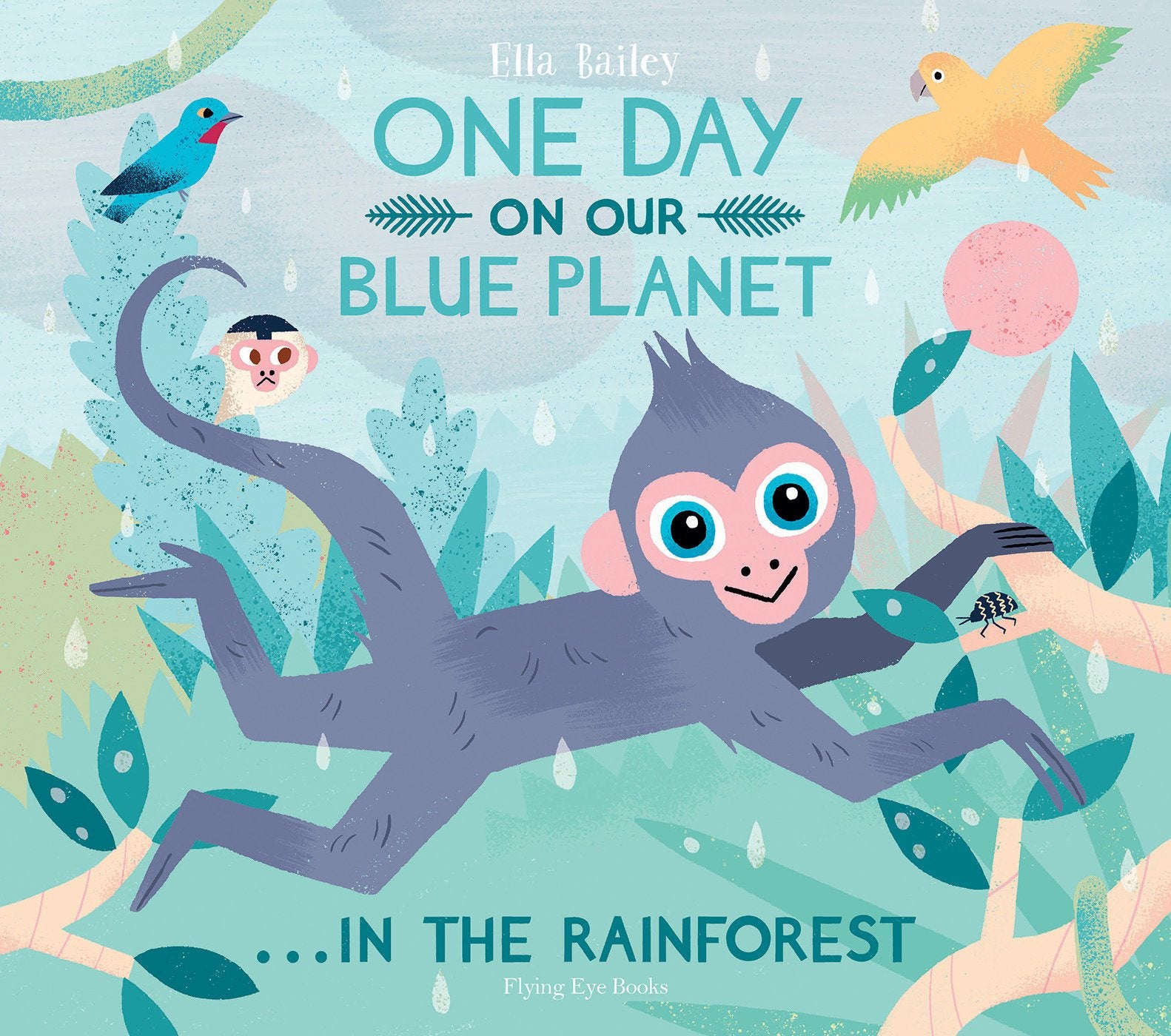 One Day On Our Blue Planet: In The Rainforest by Ella Bailey