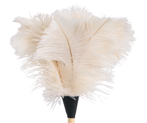 BÃ¼rstenhaus Redecker Ostrich Feather Duster in Various