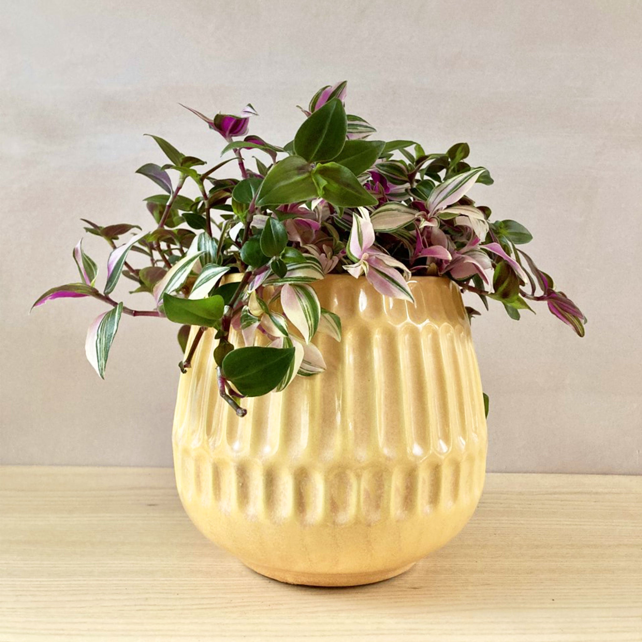 Bloomingville Yellow Groove Ceramic Planter