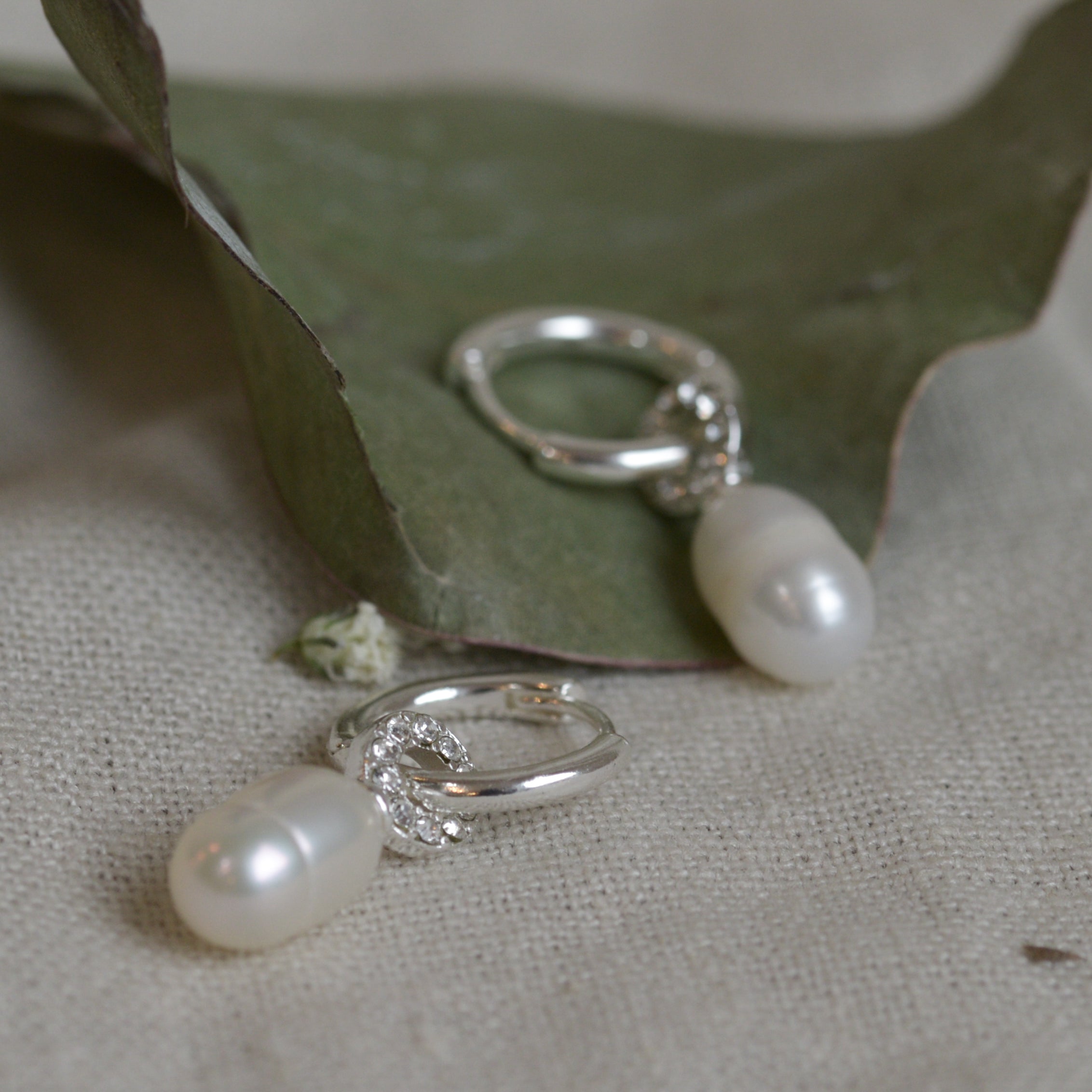 Baker Freshwater Pearl Earring in Gold or Silver