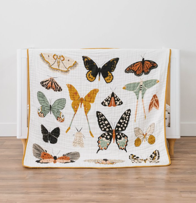 Clementine Kids Butterfly Collector Quilt