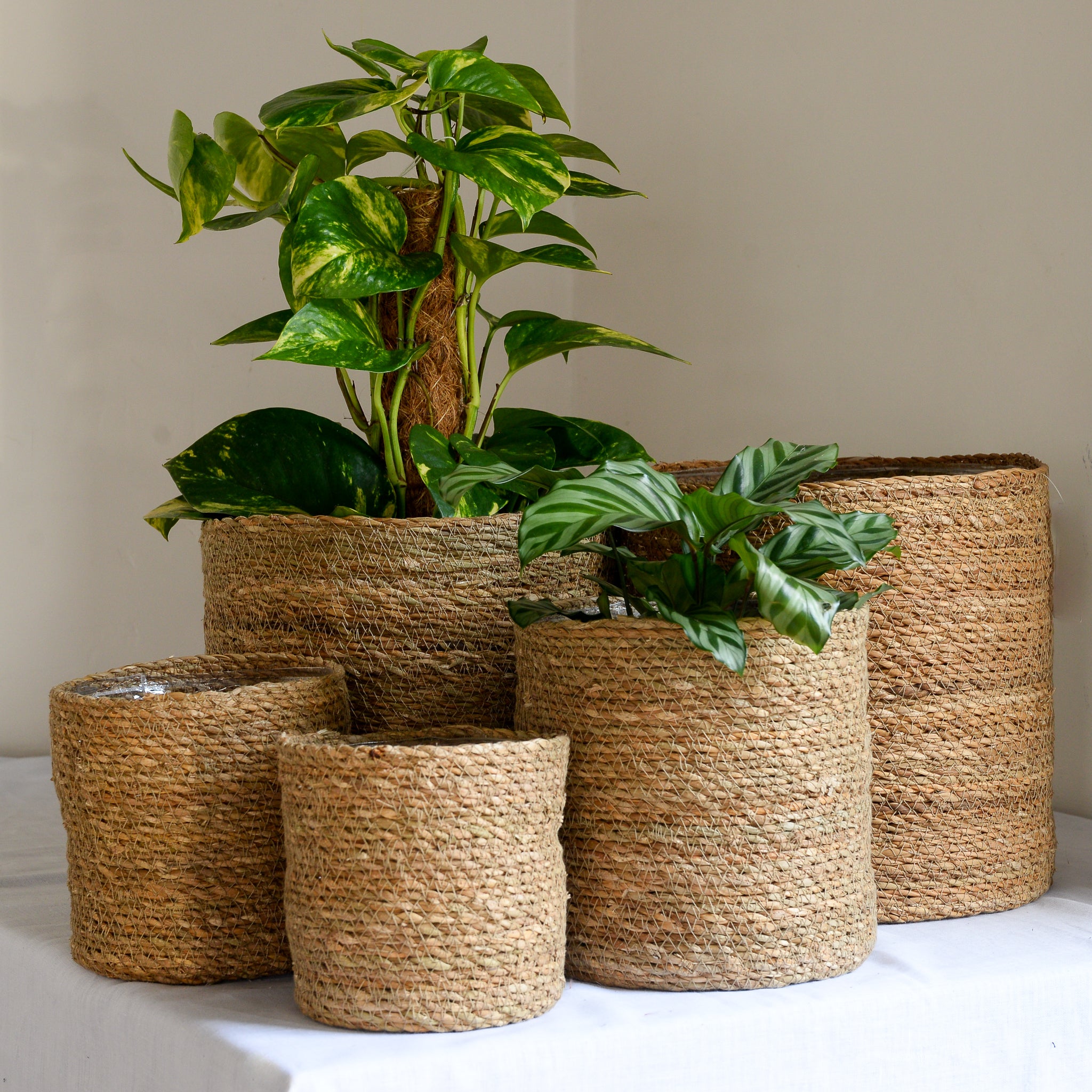 Natural Jute Planter in Five Sizes