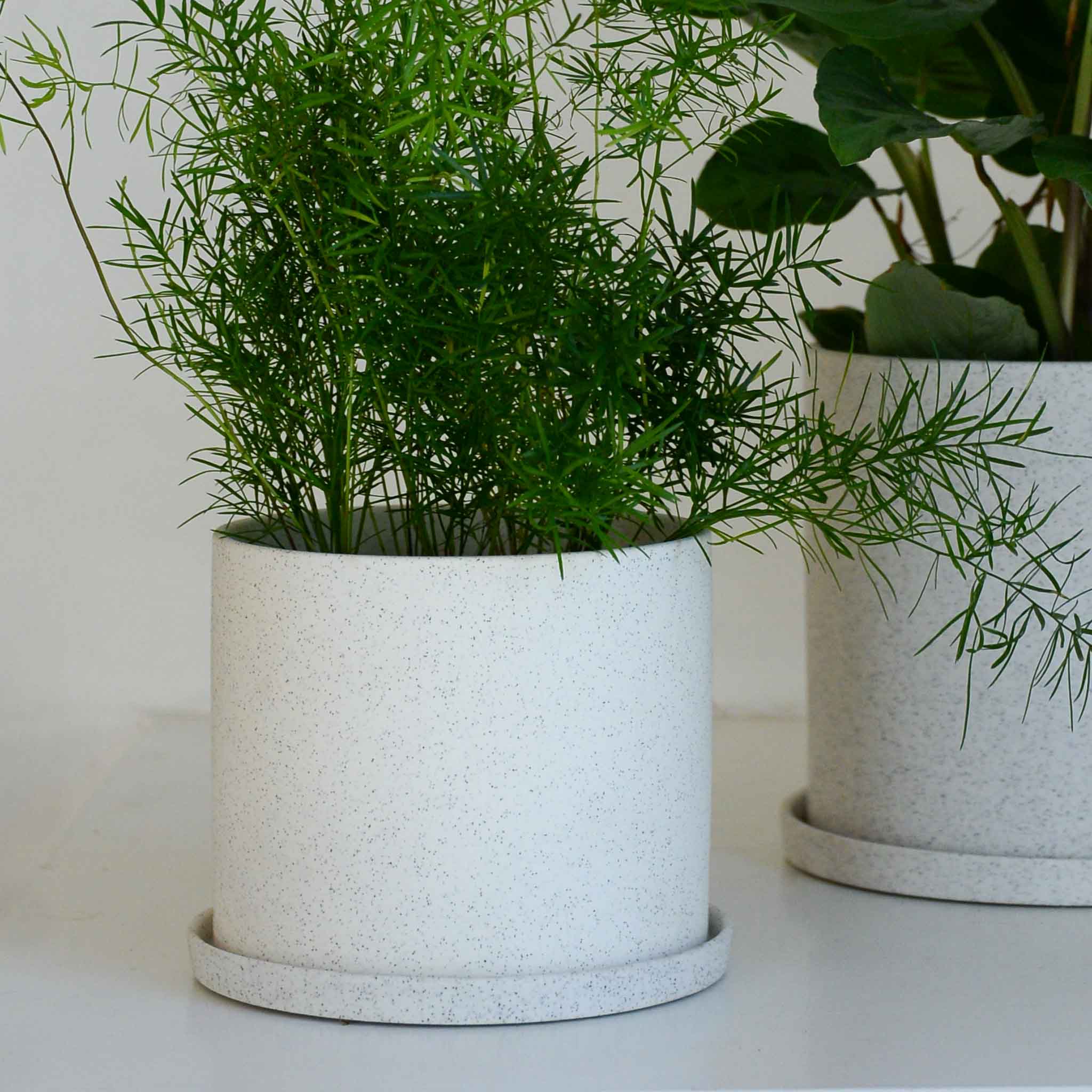 Hubsch White Speckle Ceramic Plant Pot in Small or Large