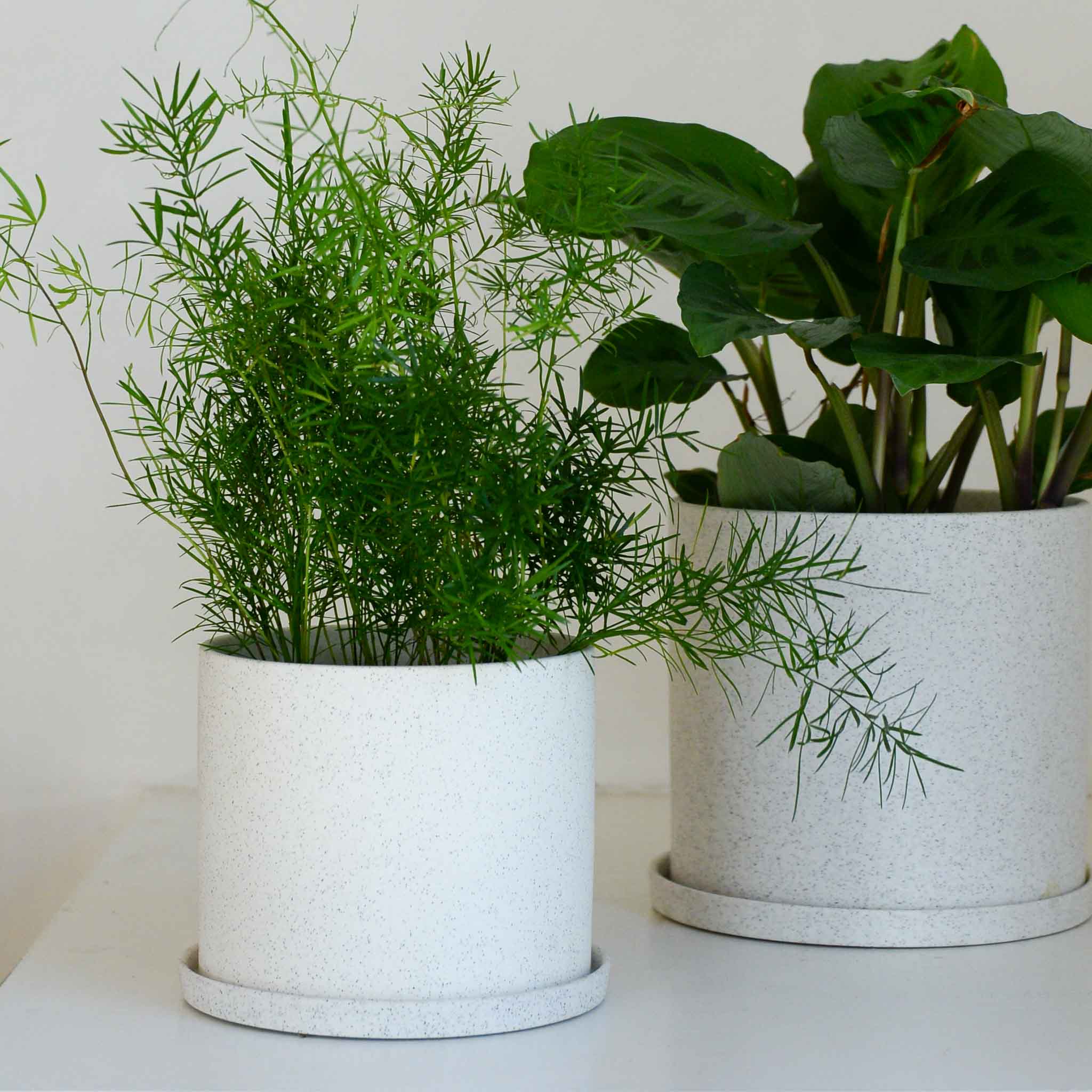 Hubsch White Speckle Ceramic Plant Pot in Small or Large