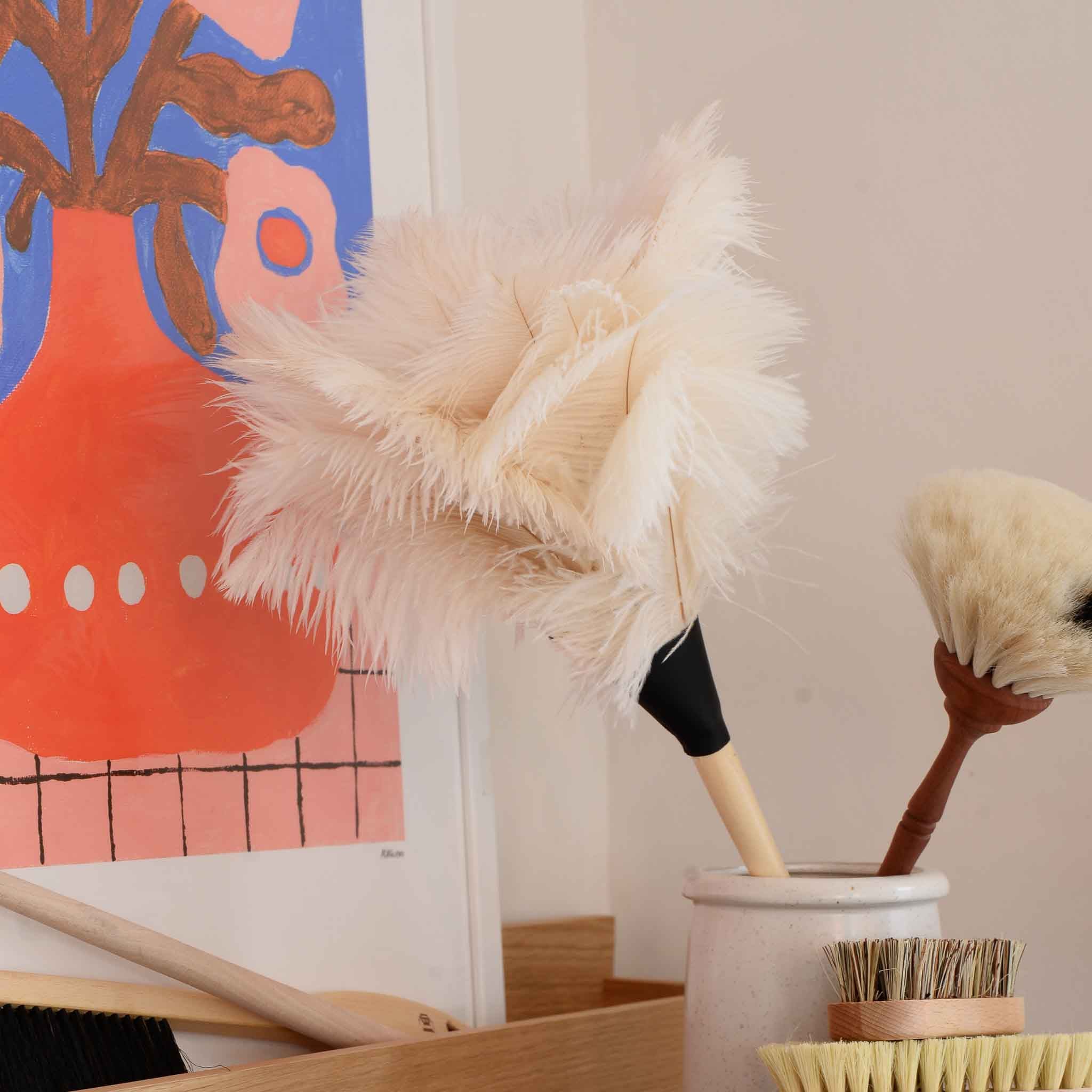 BÃ¼rstenhaus Redecker Ostrich Feather Duster in Various