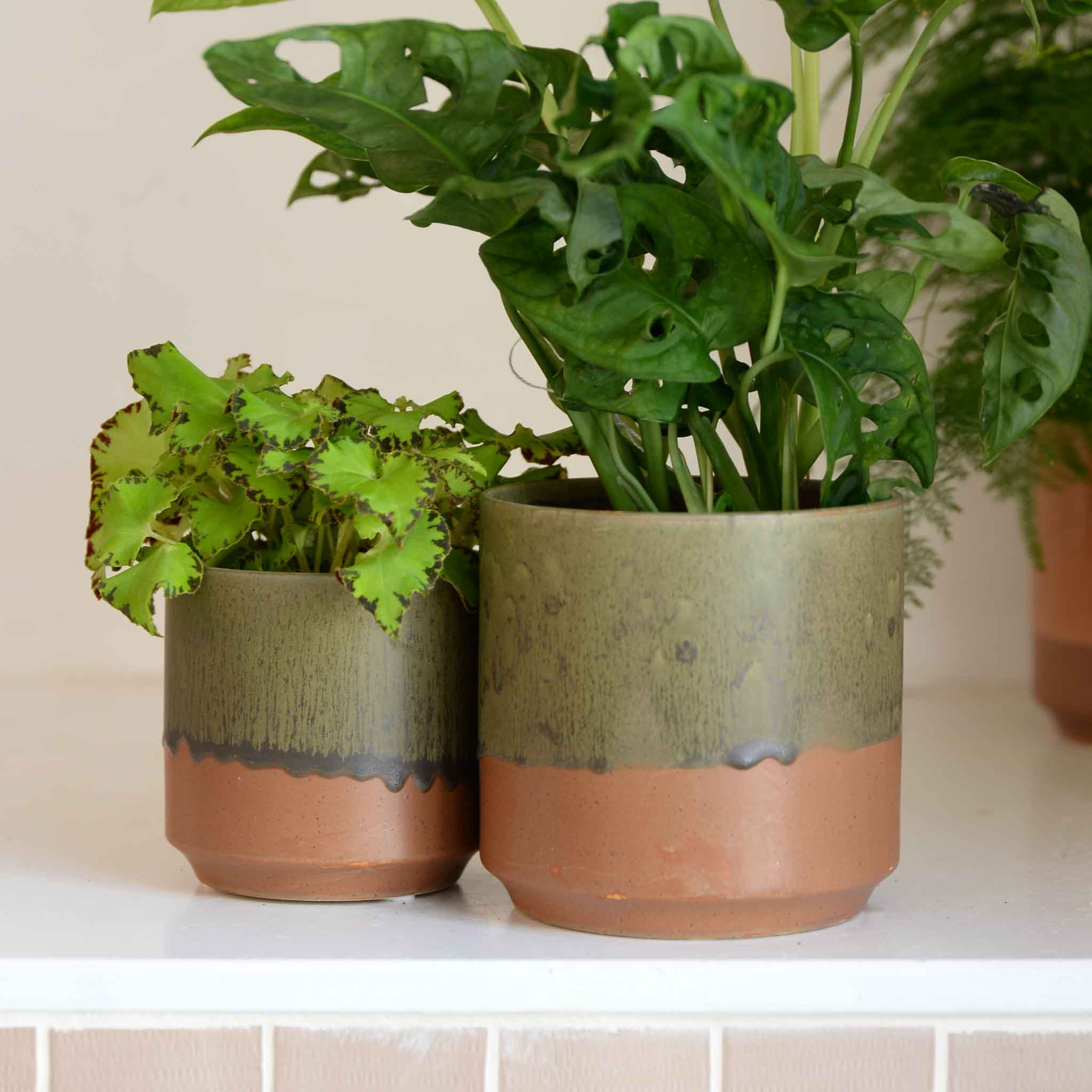 Bella Plant Pots / Colours