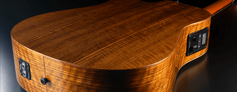 guitar tonewoods wood lg pos sid glossary woods components ss types guide guitars space knowledge born there geek