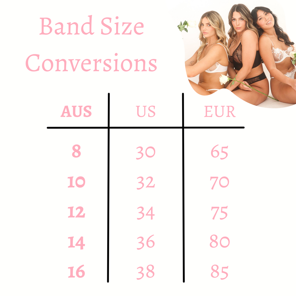 Band Size Conversion Chart - Avinet Research Supplies Knowledge Base