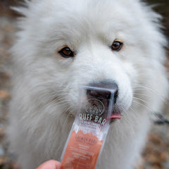 Ruff Bar Healthy dog power bar raw fed dog snack