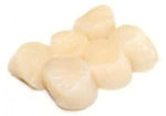 4lb Jumbo Sea Scallops U 10 Diver Scallops Catullo Prime Meats