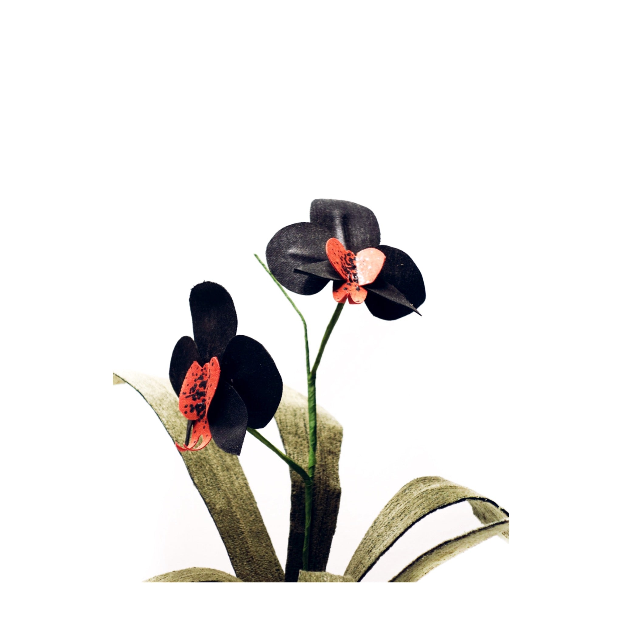 Orquídea negra y roja – BOTÁNICA TEXTIL