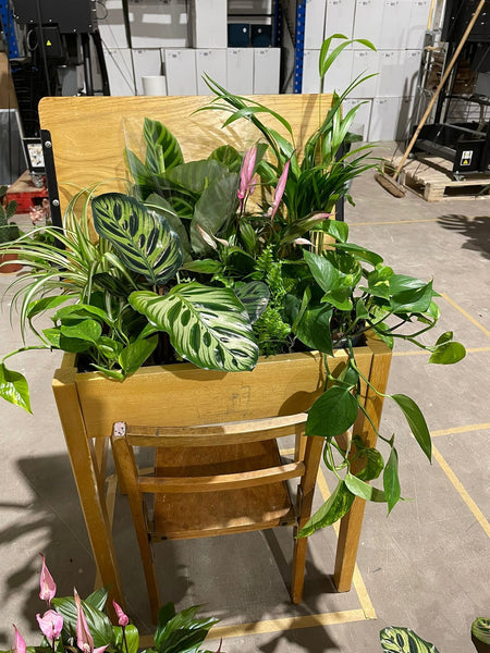 School desk filled with plants