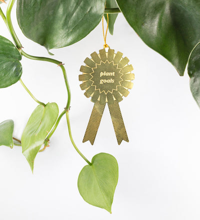 Plant Award - Plant Goals
