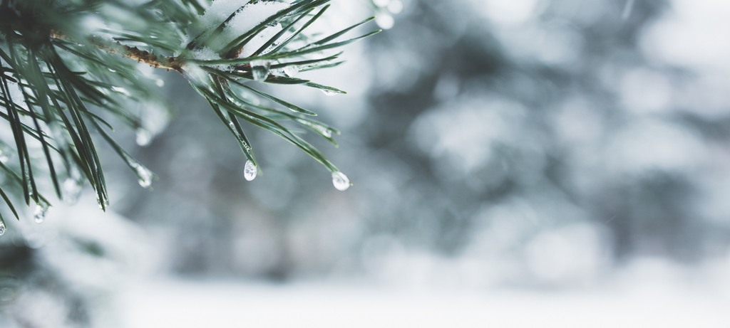 Winter Wellness Guide: Embracing Health, Nourishment, and Safeguarding Well-being